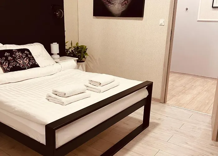 Na Starowce Appartement *